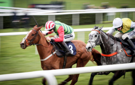 All-weather racing best bets and tips on Tuesday 2 February. Forest Bihan can get back on the scoresheet tackling a bumper.