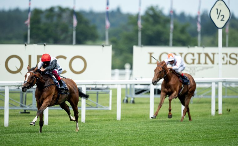 Frankly Darling bolts up at Royal Ascot.