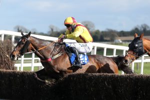 Freewheelin Dylan jumps the last on his way to Irish Grand National success