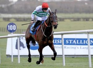 Ginto: A Hope for Gordon Elliott in either the Ballymore or Albert Bartlett Novices' Hurdles.