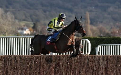 Good Boy Bobby is one of our Saturday jumps racing tips at Sandown.