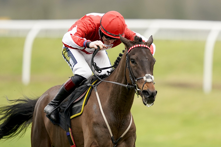 Saturday Cheltenham best bets. Gowel Road could relish the extra yardage to regain the winning thread at Cheltenham on Saturday.