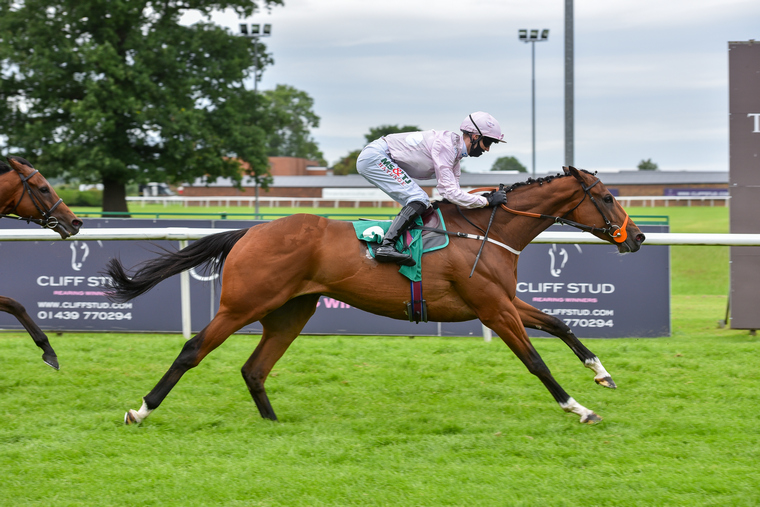 Thursday tips for Tipperary. Groveman can follow up his recent success with another win.