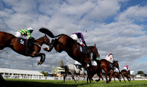 Monday horse racing tips. Hereford race on Monday.