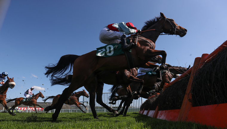 Wednesday Cheltenham Festival trends. Honest Vic could be a big-priced winner of the Coral Cup.