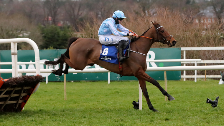 Rachael Blackmore best Cheltenham Festival rides. Will Honeysuckle go to the Champion Hurdle or the Mares' Hurdle?