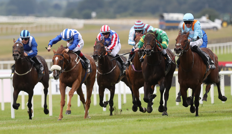 Friday Irish racing tips. Ice Cold In Alex can get back to winning ways at Cork.