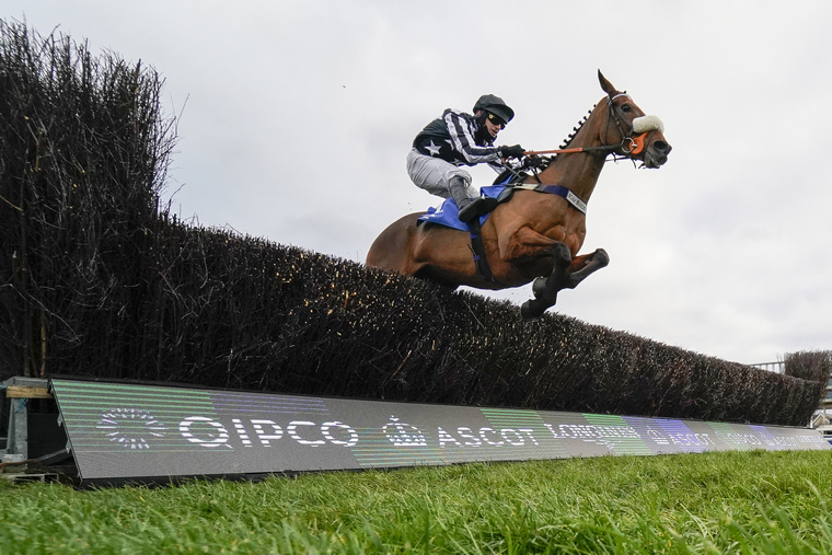 Kim Bailey Cheltenham Festival runners. Imerial Aura could have his sights on the Ryanair Chase.