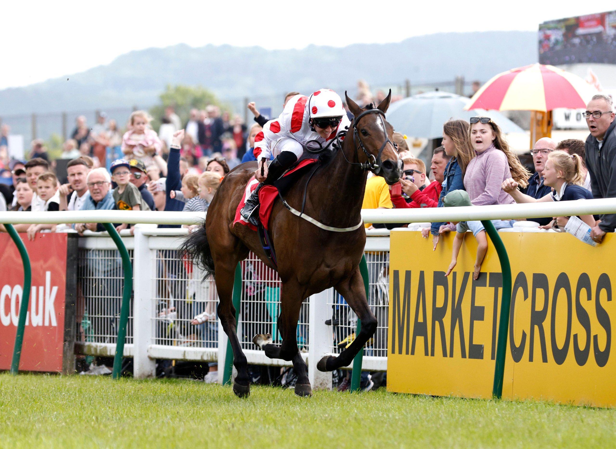 Friday Lucky 15 Tips. Jonny Peate can steer Iron Sheriff to victory in the opener at Musselburgh.