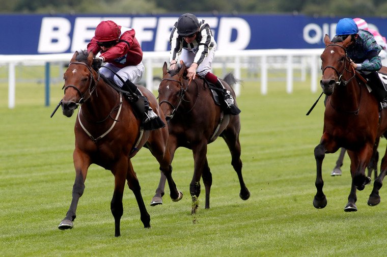 Cambridgeshire Meeting day three tips. Jumby can close out Saturday's racecard with another win.