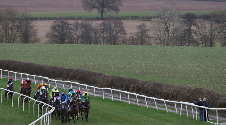 Kalooki was a Cheltenham Festival weekend eyecatcher despite meeting with defeat.