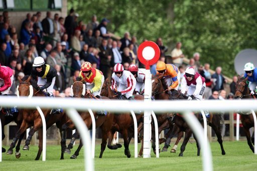 Best bets on Tuesday. Kelso are hoping to beat the weather and race on Tuesday.