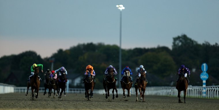 Wednesday racing best bets. Kempton race on the all-weather under the floodlights.