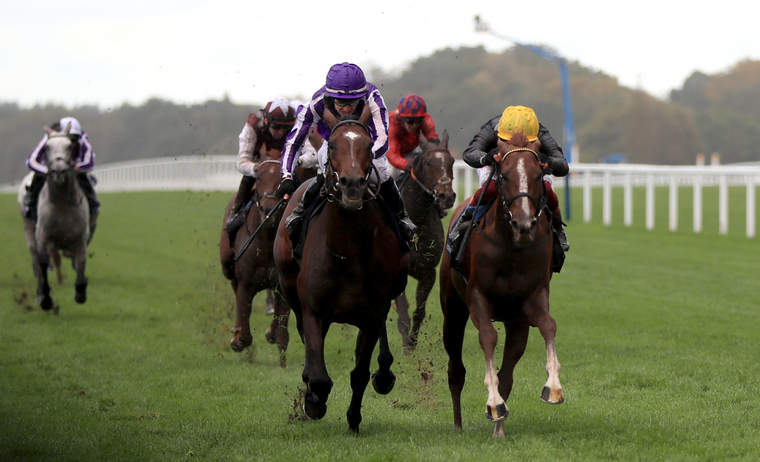 Kew Gardens winning at Ascot