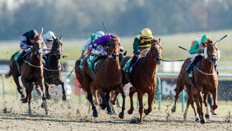 Wednesday racing best bets. Lingfield is one of four meetings going to post.