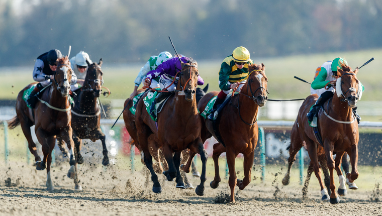 Monday racing best bets and tips. Lingfield are racing on the all-weather.