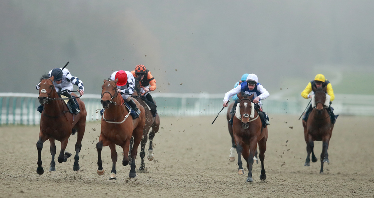 Friday horse racing tips and best bets. Lingfield race on their all-weather surface.