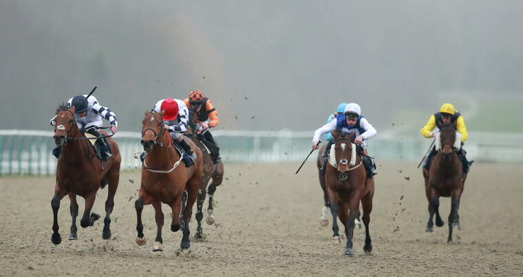 Tuesday horse racing best bets. Lingfield are racing on their all-weather surface on Tuesday.