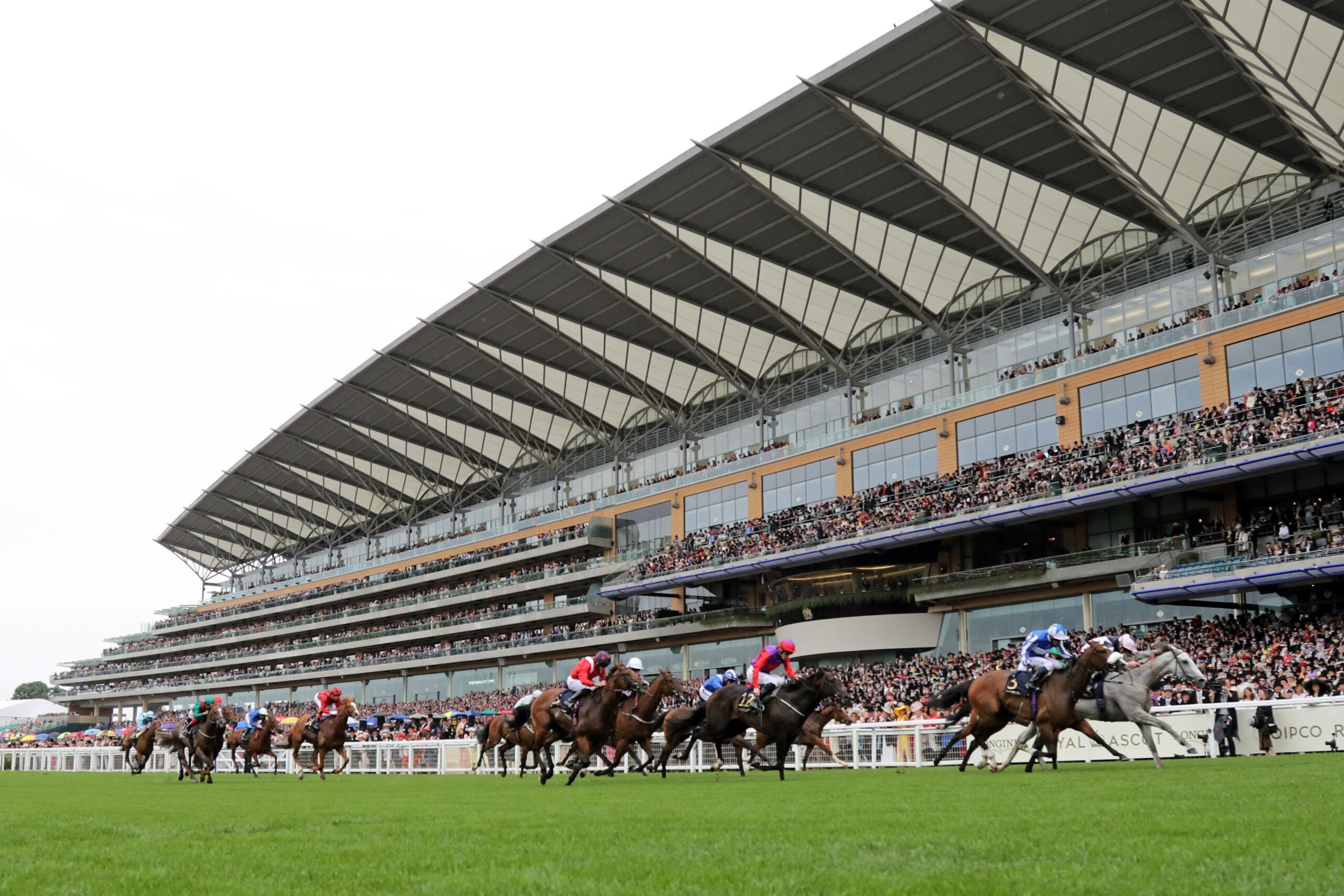 Saturday live TV tips. Lord Glitters can get back to winning ways in the TV opener at Haydock.
