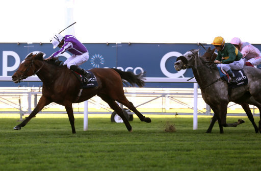 Magical looks set to collect another Tattersalls Gold Cup at the Curragh on Sunday.