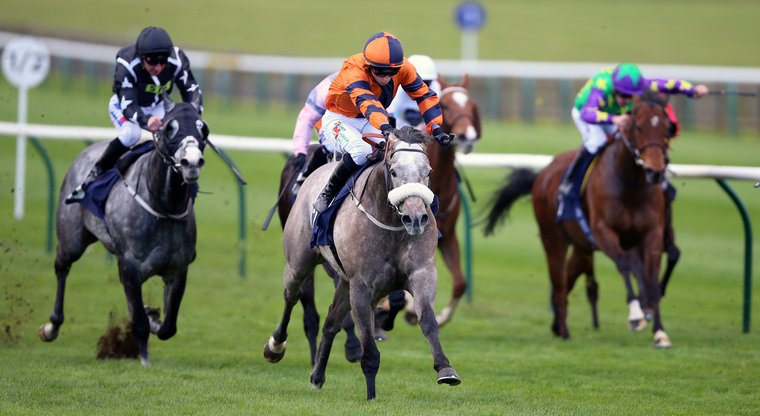 Major Jumbo can strike gold at York on ITV Racing.