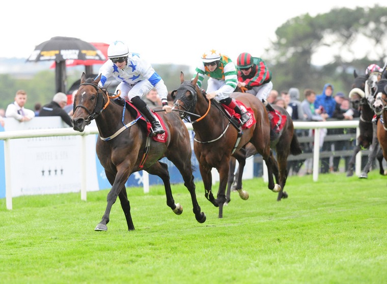 Monday Naas best bets on the flat. Make A Challenge can get back to winning ways.