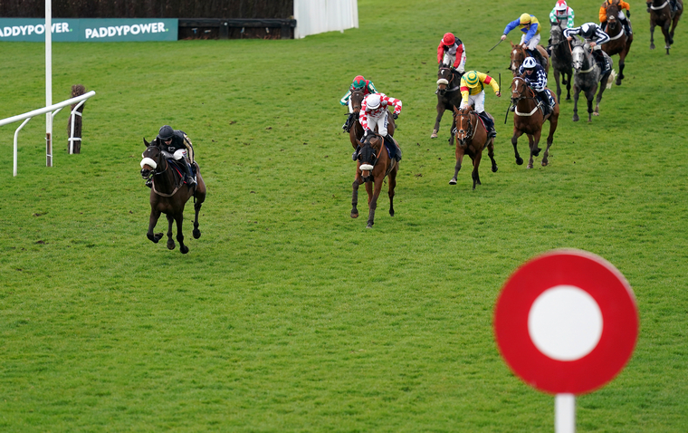 Saturday TV racing tips. Mcfabulous can get back on the winning trail at Kempton.