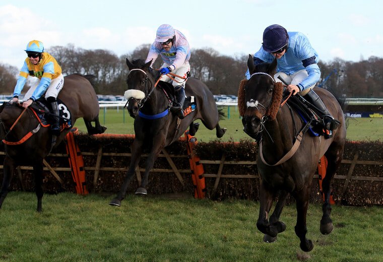 Tips for Saturday racing. Mega Yeats (left) can resume winning ways back over hurdles.