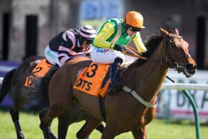 Midnight Shadow won the Paddy Power Gold Cup on the Old Course last month.
