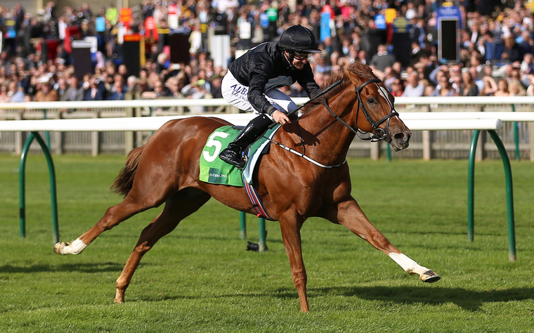Millisle can get back to winning ways at Naas on Wednesday.