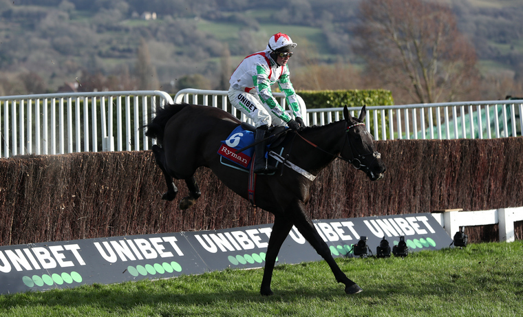 Saturday live TV tips. Mister Fisher is chanced to bounce back to winning ways at Sandown.