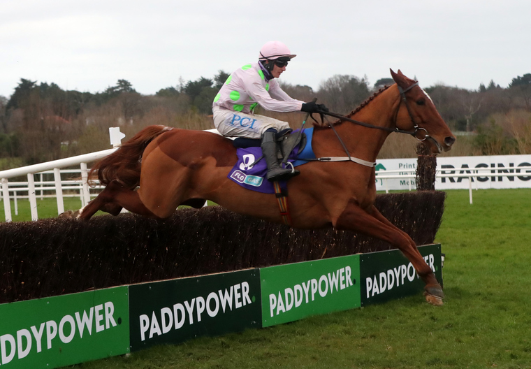 Paul Townend Cheltenham Festival rides. Monkfish could be hard to beat.