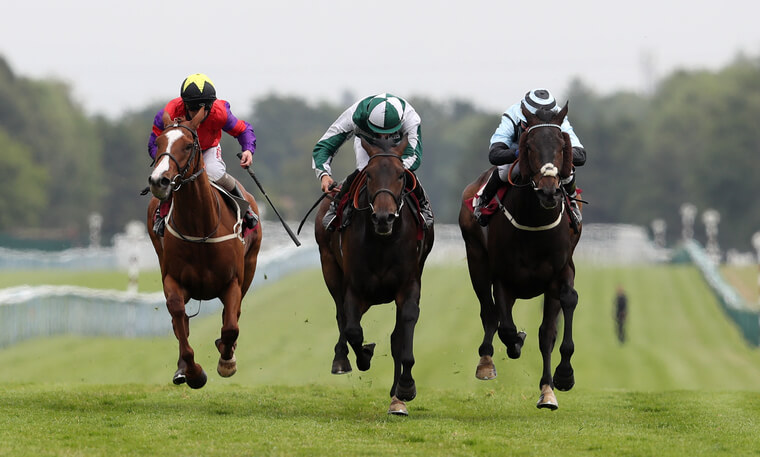 Friday all-weather racing tips. Moon King (centre) can strike at Newcastle.