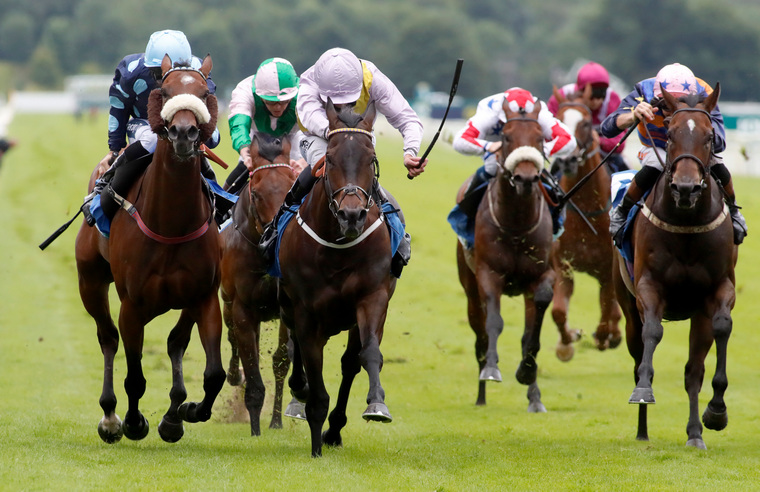 Live TV best bets on Saturday. Moss Gill can win a second City Walls Stakes at York.