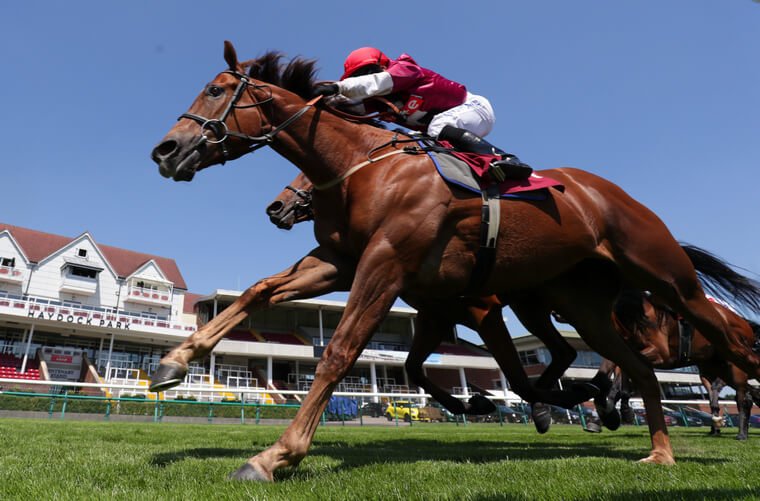 Epsom Friday racing tips. Mostawaa could be worth chancing to get back to winning ways.