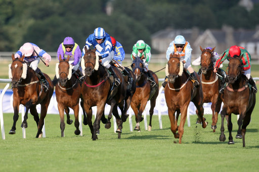 Friday racing best bets. Musselburgh hosts one of the day's five meetings on the flat.