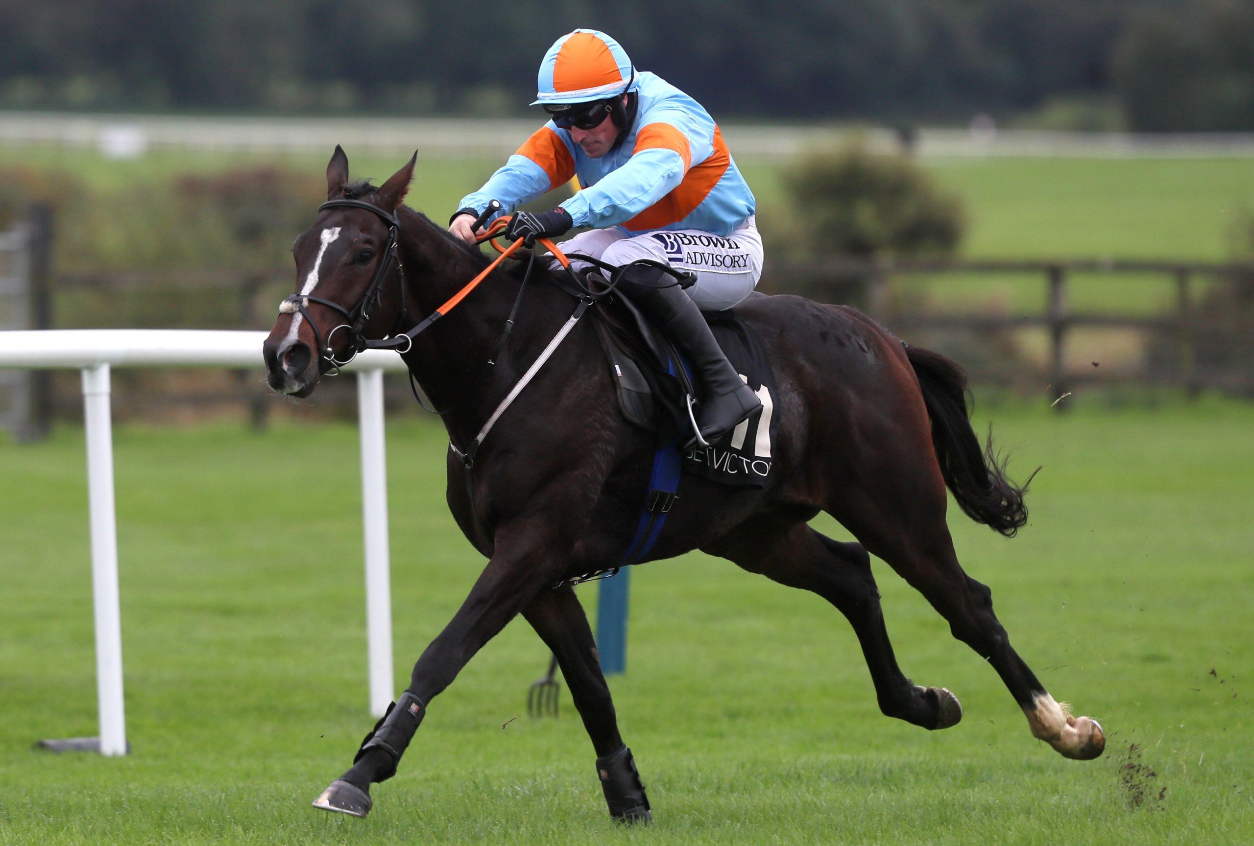 The classy hurdler My Mate Mozzie heads to Leopardstown on Thursday.