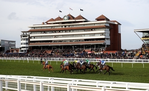 Free Friday horse racing tips. Newbury are racing on Friday.