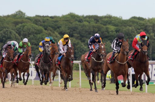 Saturday best bets and tips. Newcastle accounts for the day's all-weather racing action.