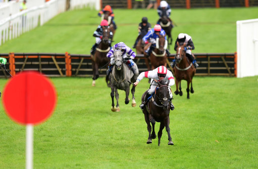 Friday horse racing tips. Newton Abbot is racing over the sticks on Friday.