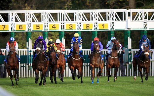 Horse racing best bets on Monday. Nottingham is one of the day's UK racing fixtures.