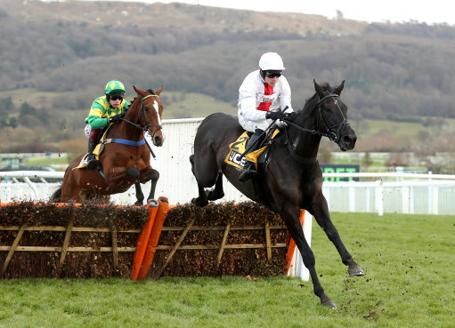 Dan Skelton Cheltenham Festival runners. Nube Negra could line up in the Champion Chase.