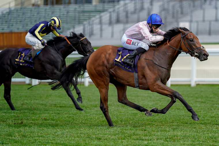 Racing tips for Sunday. Onassis can win at Goodwood on Sunday.