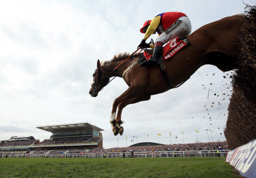 Native River jumping a fence at Cheltenham.