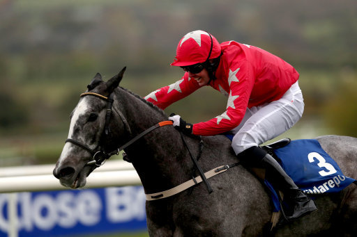 Dunvegan Punchestown Bumper