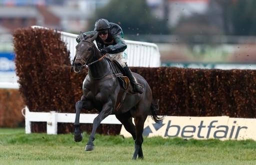 Two-time Champion Chase winner Altior.
