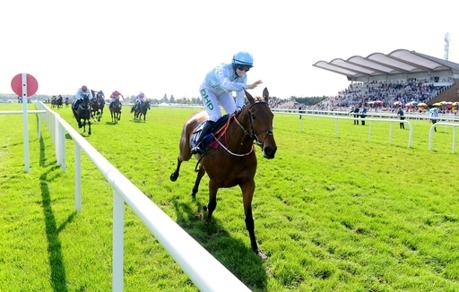 Honeysuckle is one of our Saturday Leopardstown selections