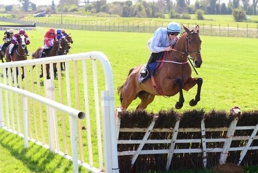 Honeysuckle strengthened her Cheltenham Festival claims for the Champion Hurdle.