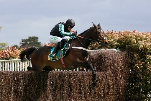 Altior jumping a fence.