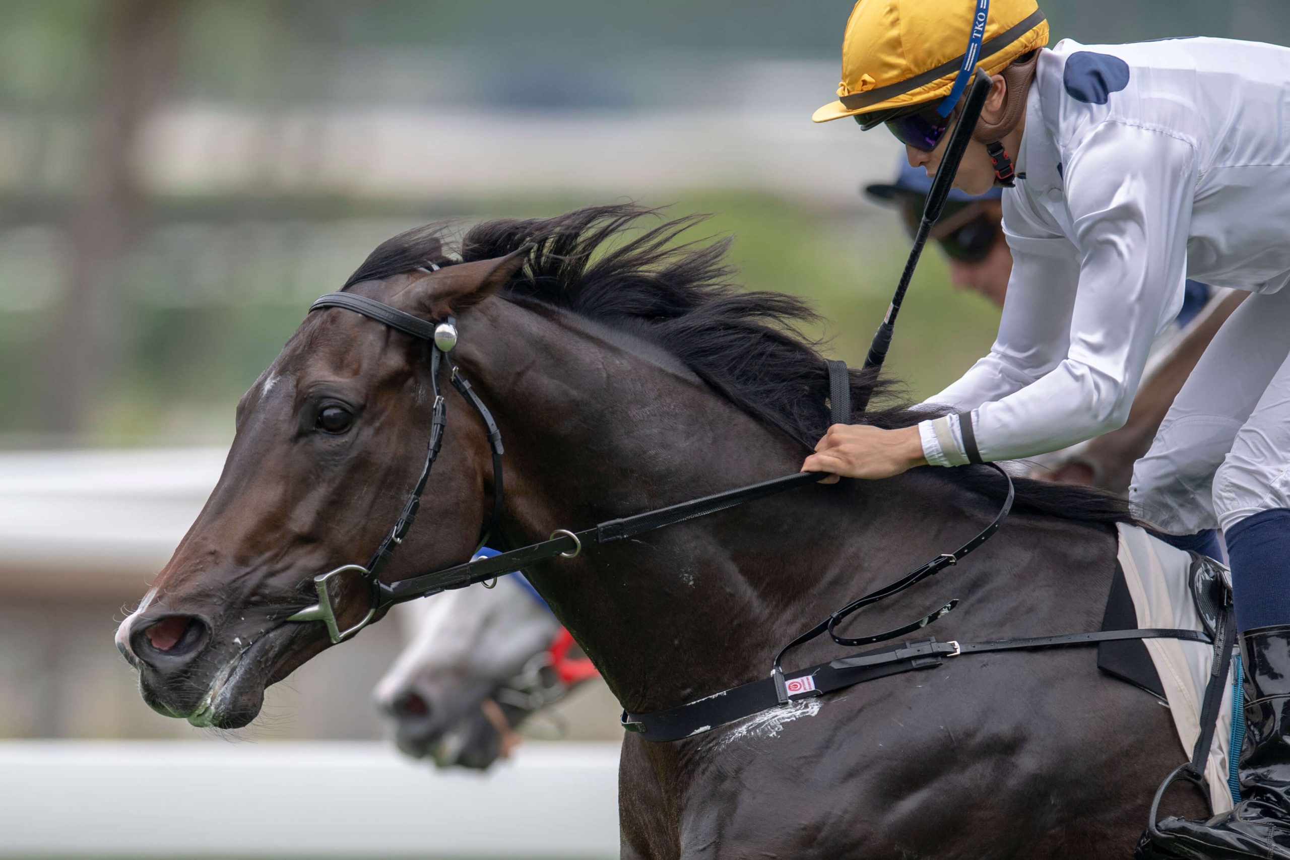 Golden Sixty will be aiming for a 10th win at Group level.